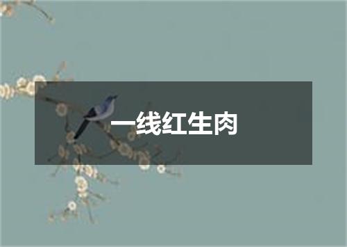 一线红生肉