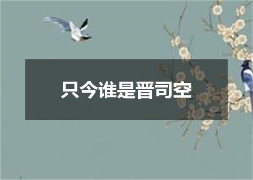 只今谁是晋司空