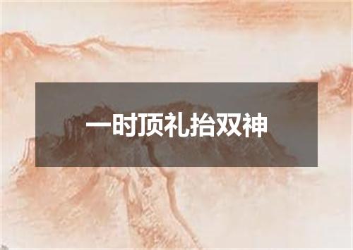 一时顶礼抬双神