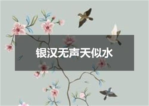 银汉无声天似水