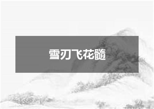 雪刃飞花髓