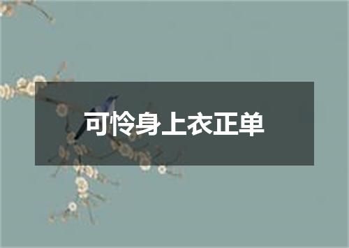可怜身上衣正单