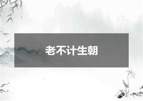 老不计生朝