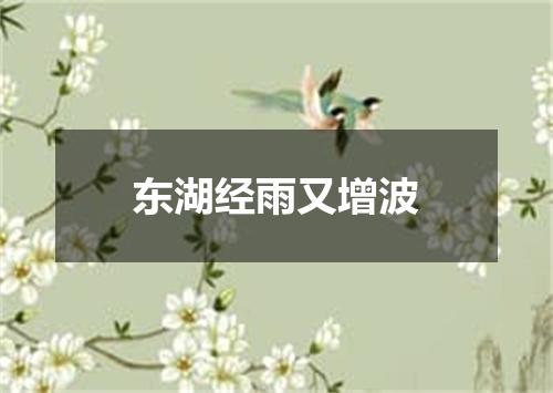 东湖经雨又增波