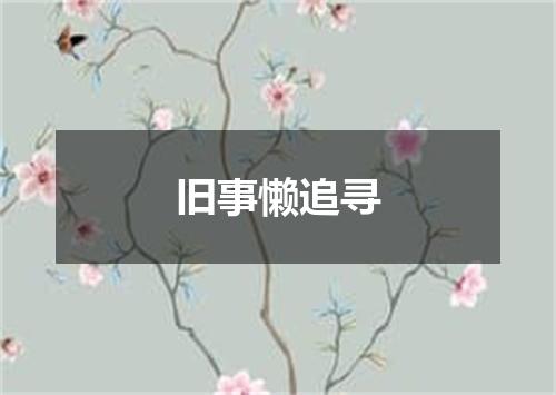 旧事懒追寻