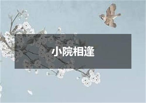 小院相逢