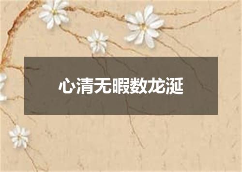 心清无暇数龙涎