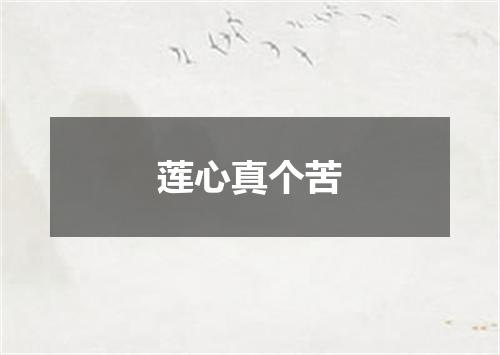 莲心真个苦