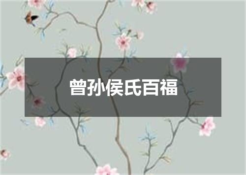 曾孙侯氏百福