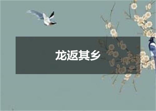 龙返其乡