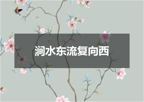 涧水东流复向西