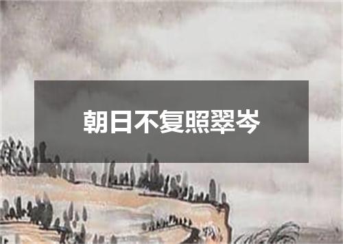 朝日不复照翠岑