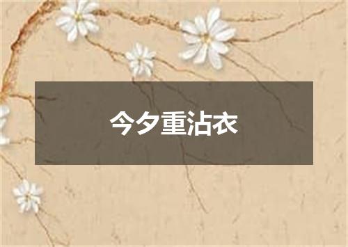 今夕重沾衣