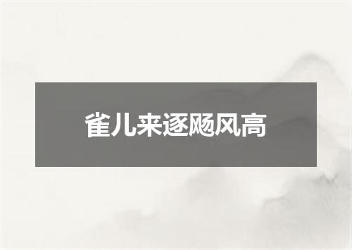 雀儿来逐飏风高