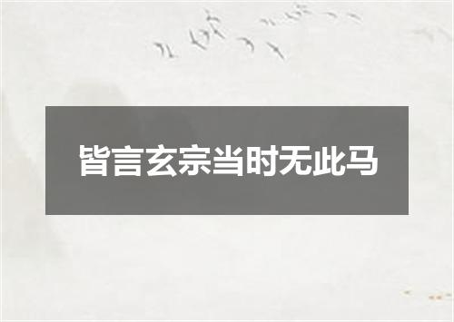 皆言玄宗当时无此马