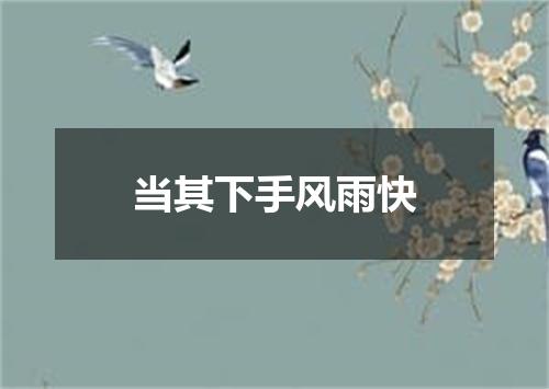 当其下手风雨快