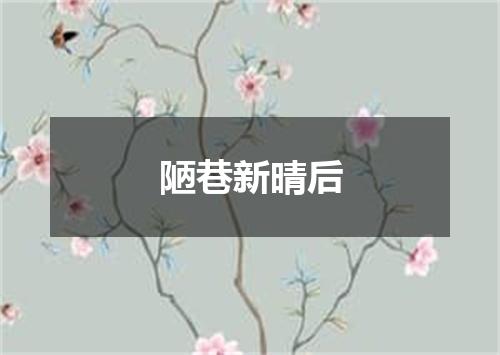 陋巷新晴后
