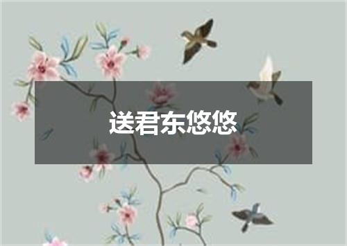 送君东悠悠