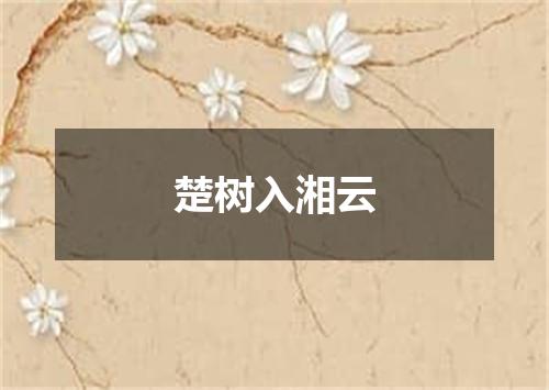 楚树入湘云