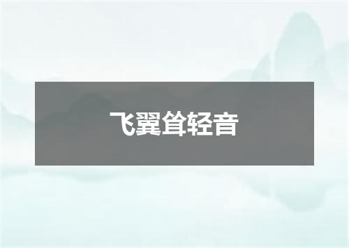 飞翼耸轻音