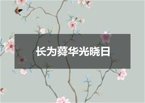 长为蕣华光晓日