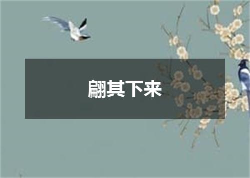 翩其下来