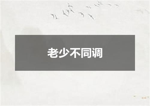 老少不同调