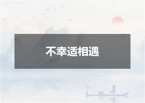 不幸适相遇