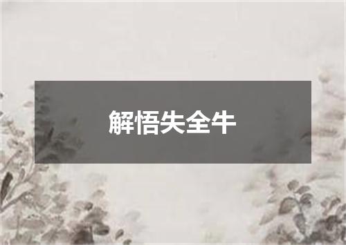 解悟失全牛