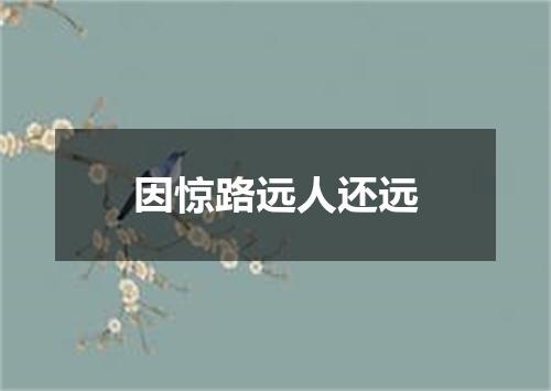 因惊路远人还远