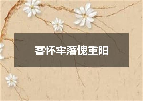 客怀牢落愧重阳