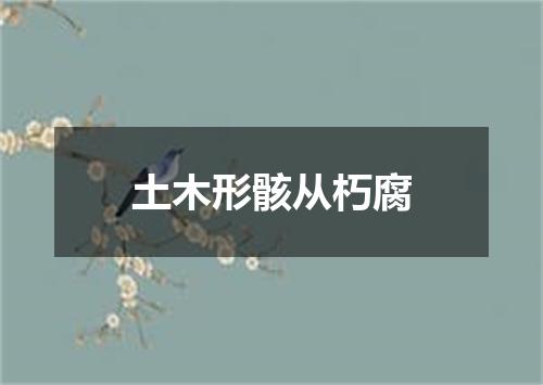 土木形骸从朽腐