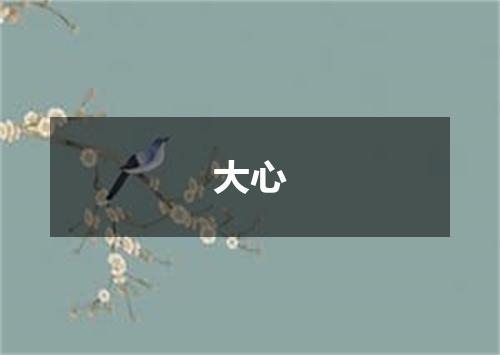 大心