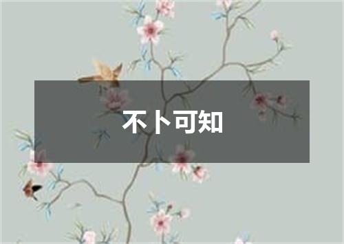 不卜可知