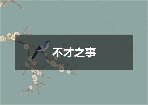 不才之事