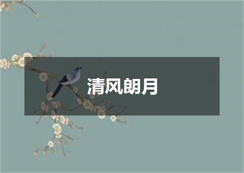 清风朗月