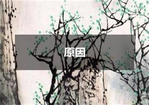 原因