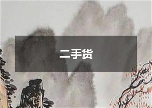 二手货
