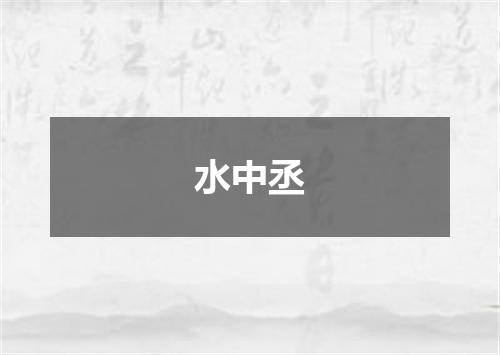 水中丞