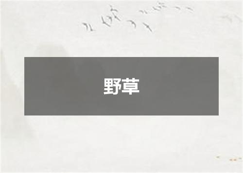 野草