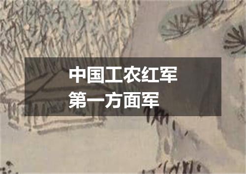 中国工农红军第一方面军