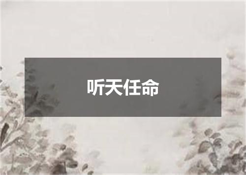 听天任命