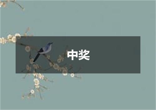 中奖