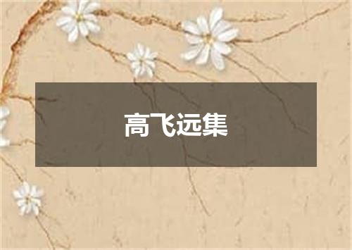高飞远集