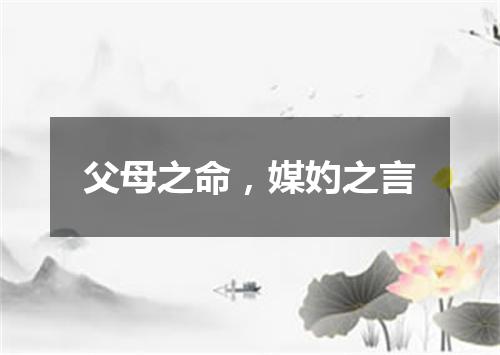 父母之命，媒妁之言