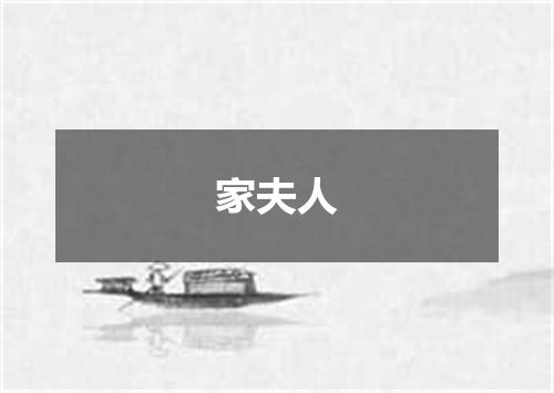 家夫人