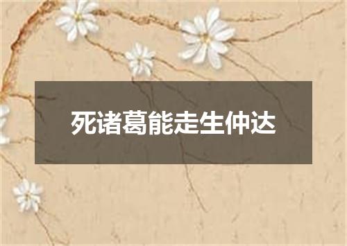 死诸葛能走生仲达