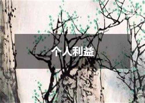 个人利益