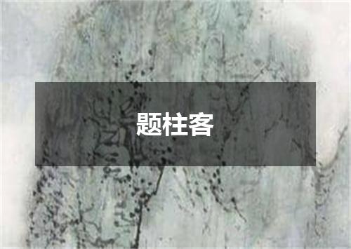 题柱客