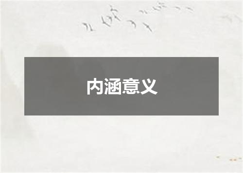 内涵意义